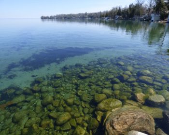 It's all about Lake Simcoe